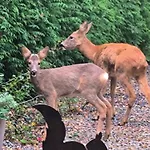 Autonome Magnifique Avec Jardin D Hiver Tb Situé
