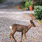 Bed and breakfast Autonome Magnifique Avec Jardin D Hiver Tb Situé 4*