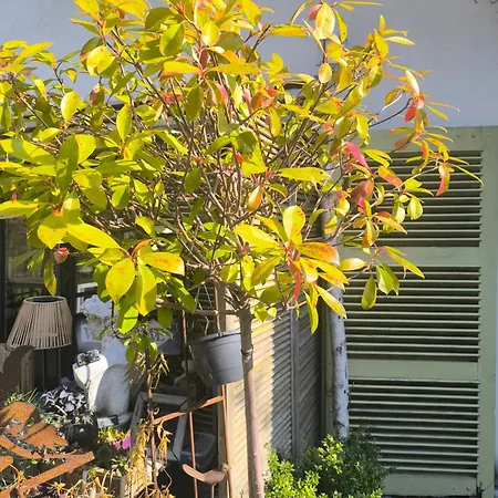 Bed & Breakfast Autonome Magnifique Tb Situe Chaumont-Gistoux