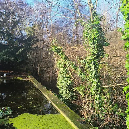 Bed & Breakfast Studio Autonome Magnifique Avec Gd Terrasse &Jardin D Hiver, 1 Gd Lit Et 2 De 90Cm Tb Situe Chaumont-Gistoux
