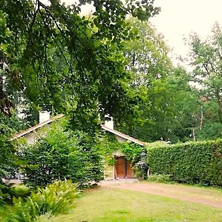 Studio Autonome Magnifique Avec Gd Terrasse &Jardin D Hiver, 1 Gd Lit Et 2 De 90Cm Tb Situe Chaumont-Gistoux Bed & Breakfast Chaumont-Gistoux