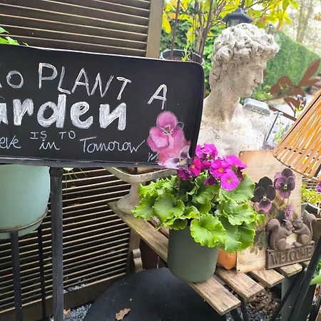 Studio Autonome Magnifique Avec Gd Terrasse &Jardin D Hiver, 1 Gd Lit Et 2 De 90Cm Tb Situe Chaumont-Gistoux 4*