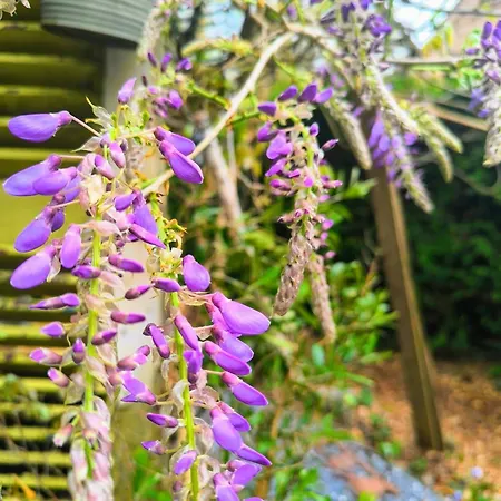 Autonome Magnifique1 Gde Et 1 Pte Avec Jardin D Hiver Tb Situe Bed & Breakfast