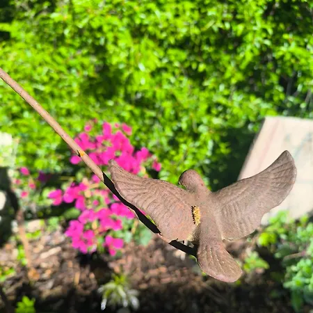 Autonome Magnifique1 Gde Et 1 Pte Avec Jardin D Hiver Tb Situe Bed & Breakfast Chaumont-Gistoux