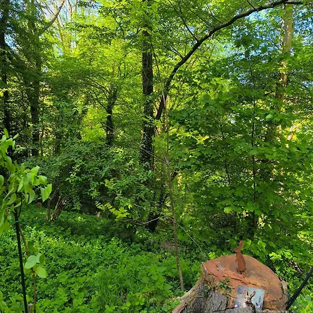 Autonome Magnifique1 Gde Et 1 Pte Avec Jardin D Hiver Tb Situe Bed & Breakfast