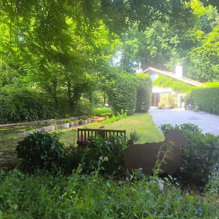 Bed & Breakfast Studio Autonome Magnifique Avec Gd Terrasse &Jardin D Hiver, 1 Gd Lit Et 2 De 90Cm Tb Situe Chaumont-Gistoux Chaumont-Gistoux