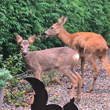 Autonome Magnifique1 Gde Et 1 Pte Avec Jardin D Hiver Tb Situe