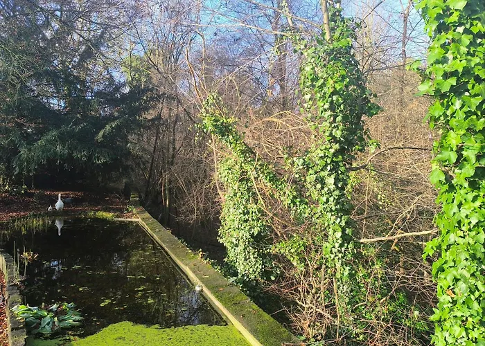 Alojamento de Acomodação e Pequeno-almoço Autonome Magnifique1 Gde Et 1 Pte Avec Jardin D Hiver Tb Situe