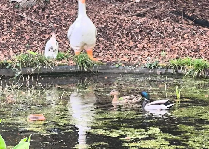 Couette-café Autonome Magnifique Avec Jardin D Hiver Tb Situé Chaumont-Gistoux