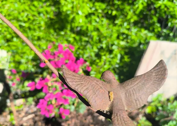 Autonome Magnifique1 Gde Et 1 Pte Avec Jardin D Hiver Tb Situe Alojamento de Acomodação e Pequeno-almoço Chaumont-Gistoux