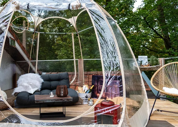 Autonome Magnifique1 Gde Et 1 Pte Avec Jardin D Hiver Tb Situe